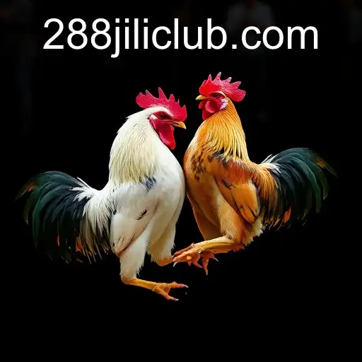 Explore Online Sabong: Discovering 288JILI's Innovative Platform